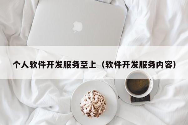 个人软件开发服务至上(软件开发服务内容)